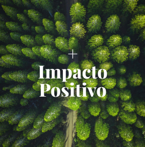 Impacto Positivo